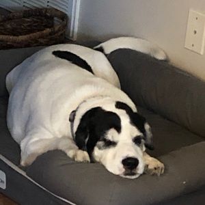 Meet your Posher, Kari